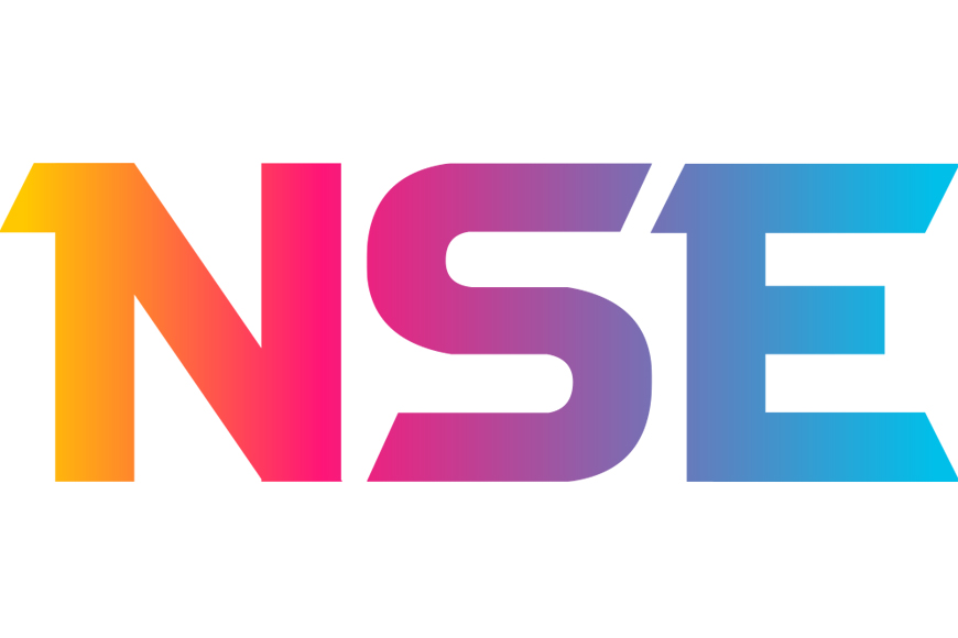 nse logo 2