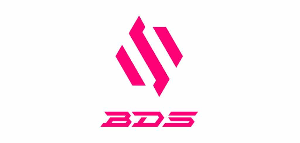 team bds new logo 2022