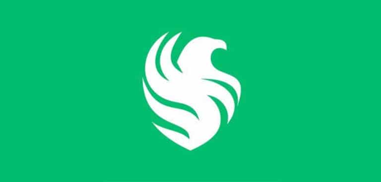 Team Falcons logo