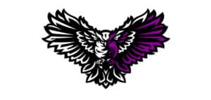 Noctem Esports logo
