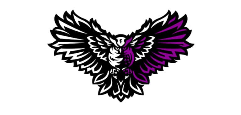 Noctem Esports logo