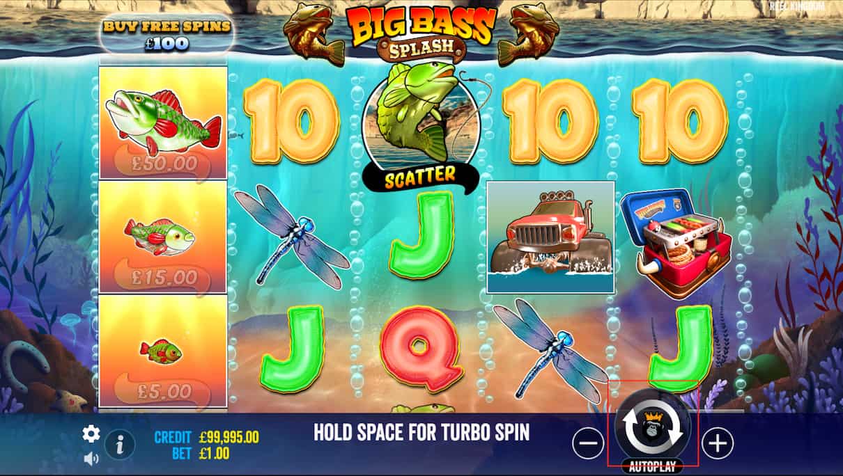 Step 2: Spin the Reels