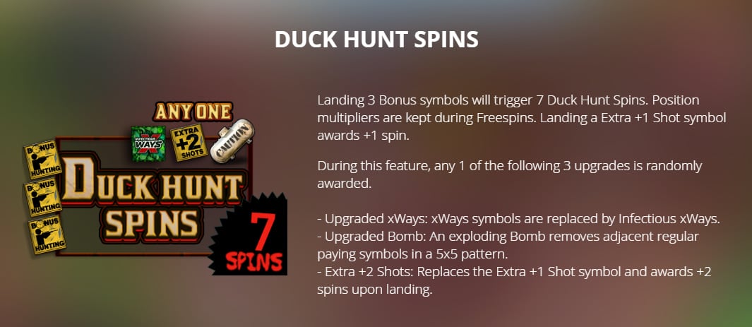 Duck Hunters Duck Hunt Spins
