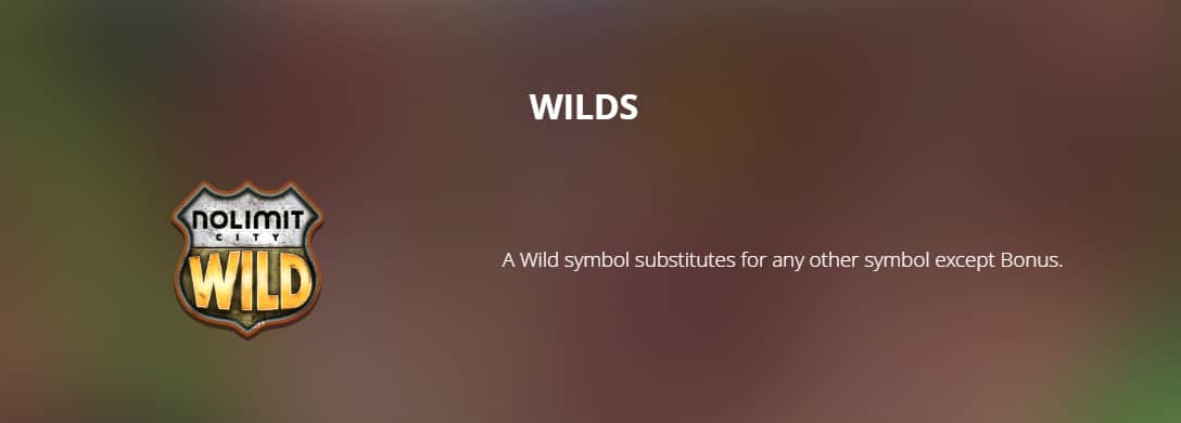 Duck Hunters Wilds