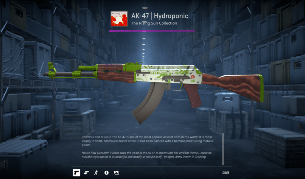 AK-47 Hydroponic CS2 Skins Market