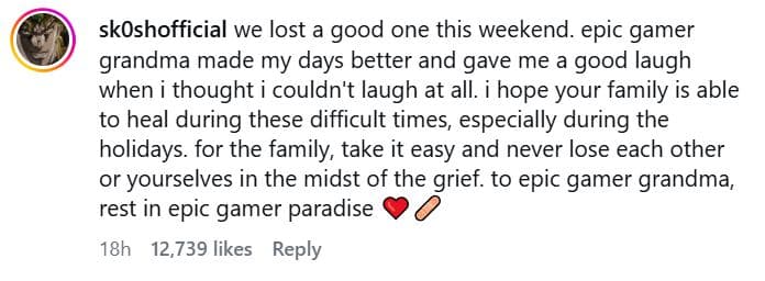 "we lost a good one this weekend. Epic Gamer Grandma made my days better and gave me a good laugh when I thought I couldn't laugh at all. I hope your family is able to heal during these difficult times, especially during the holidays. For the family, take it easy and never lose each other or yourselves in the midst of the grief. To Epic Gamer Grandma, rest in Epic gamer paradise."