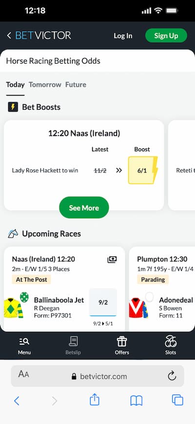 BetVictor App Review