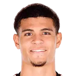 Miles Robinson Miles Robinson